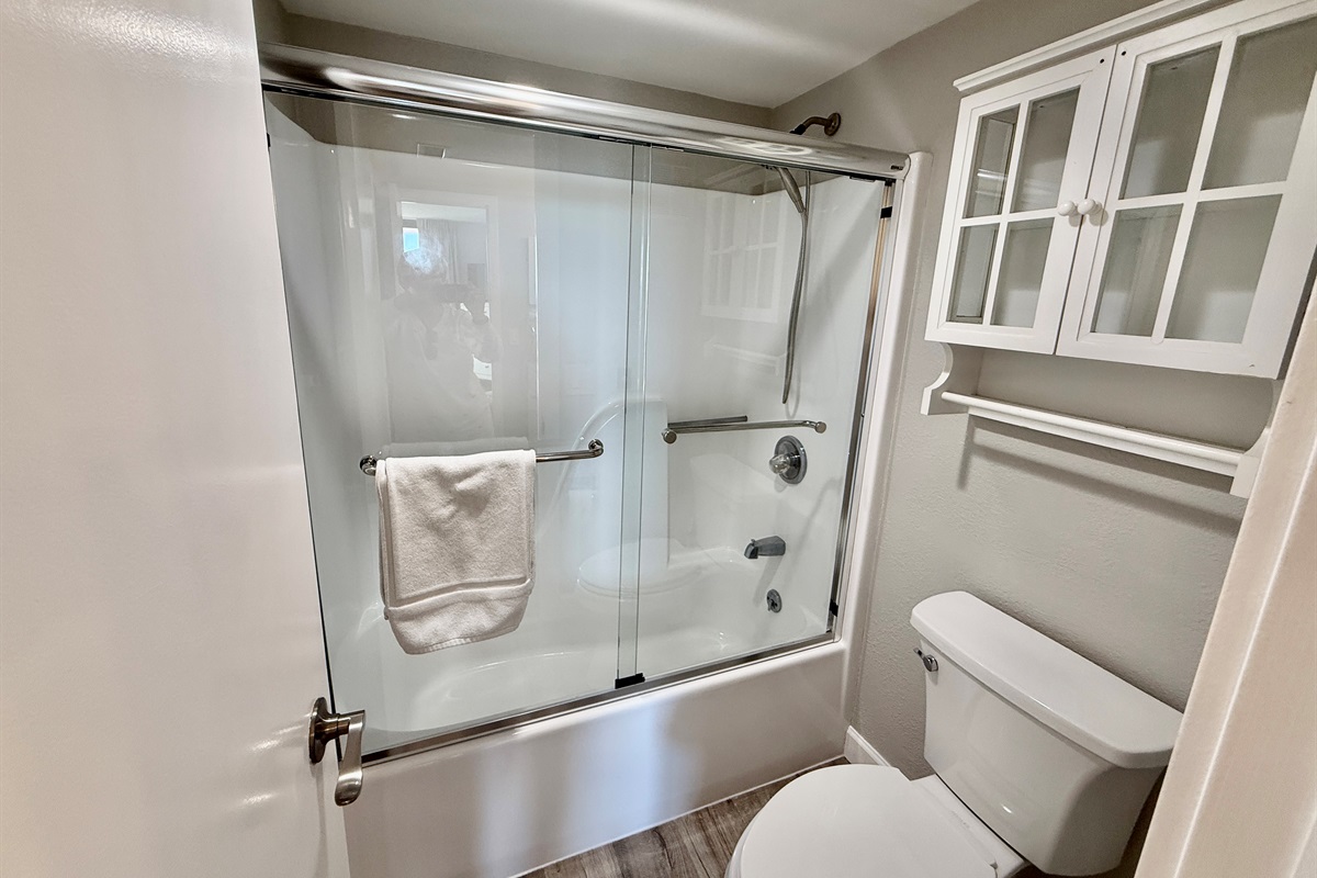 Tub/Shower Combo w/New Glass Shower Doors