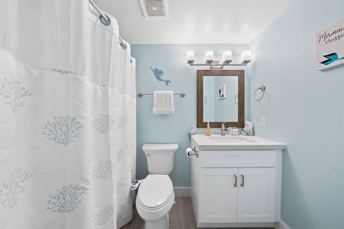 Guest Bath