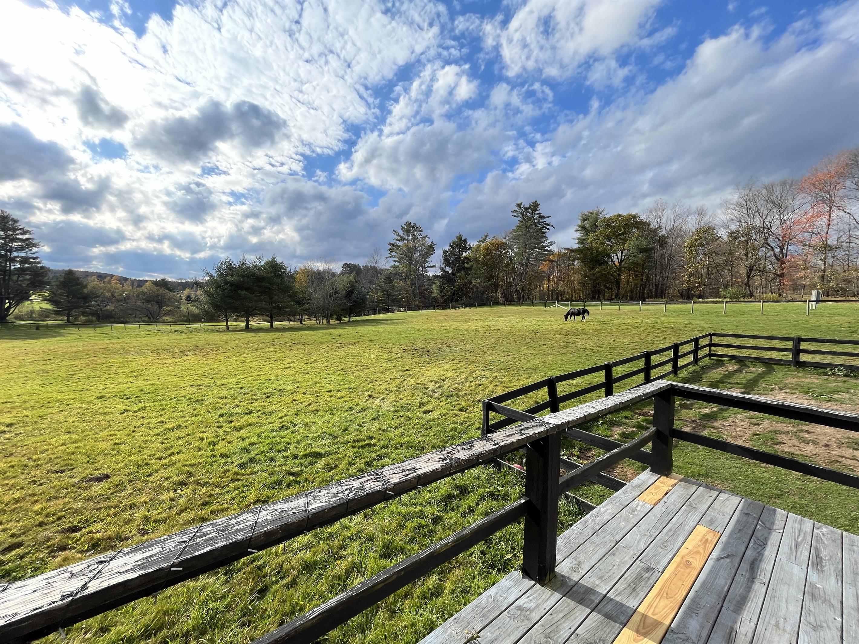 Horse Haven horse pasture