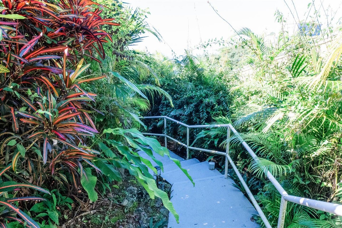Stairs that lead down to the communal pool.