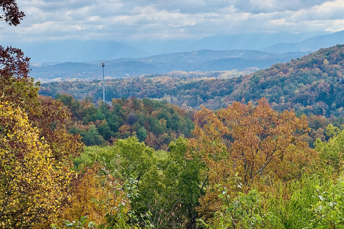 FALL DECK VIEW