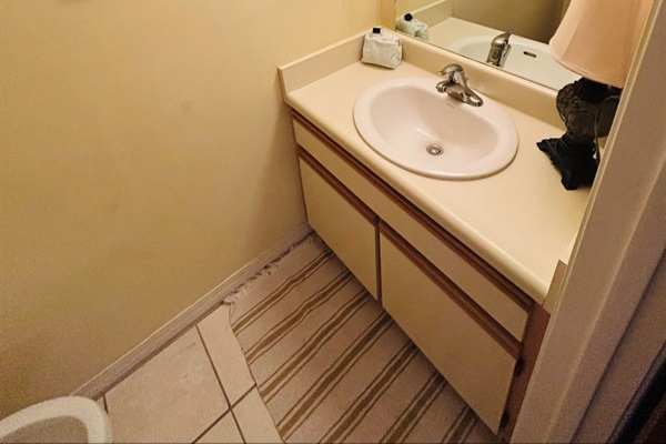 Downstairs half bath sink