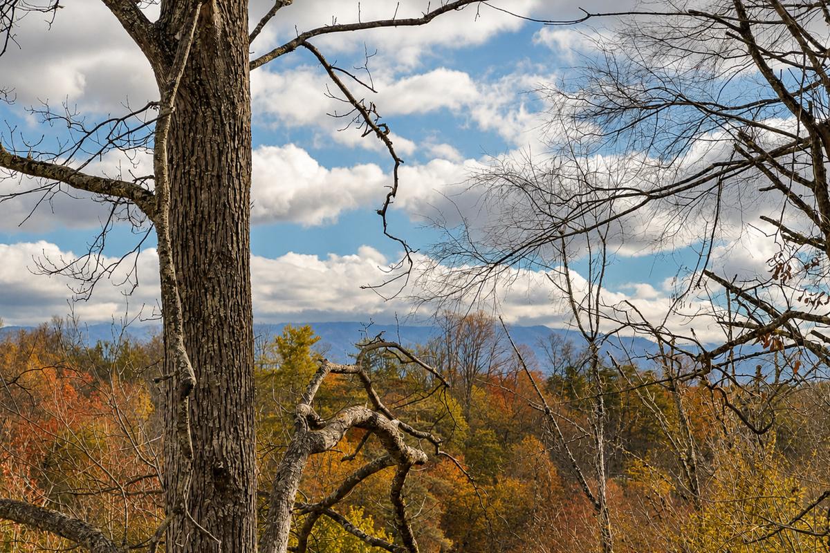 Fall view of Mount LeConte from the primary suite.