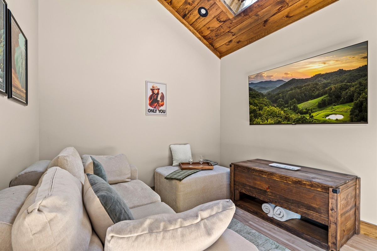 Living room with 65" Roku TV and sky window