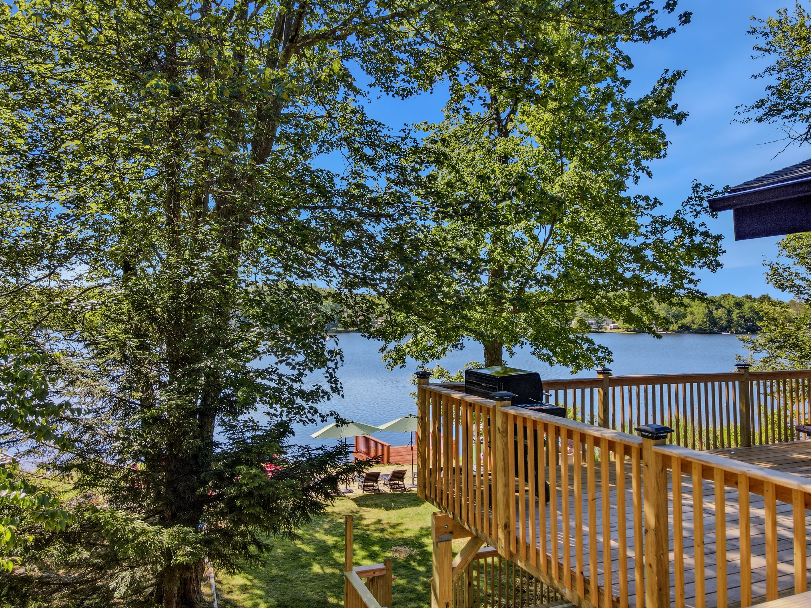 Deck rail view framed by mature trees with Lake Carobeth sparkling beyond