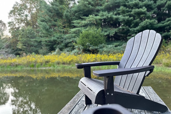 Fish in our private pond (catch and release)