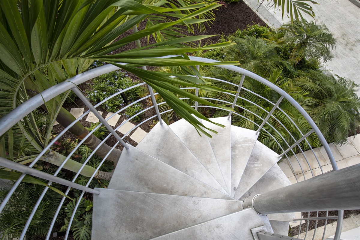 Stairway from pool deck to gym, arcade and zen garden. This is the only way to access these three spaces. 