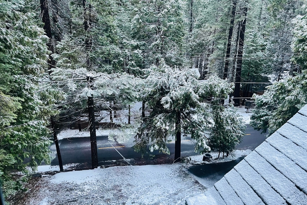 Winter