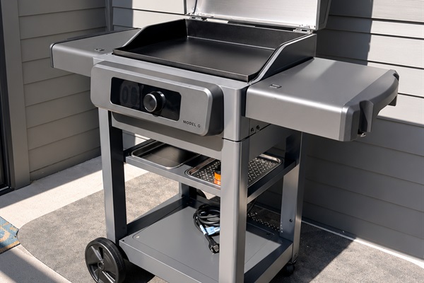 Current brand, electric griddle available for guests. 