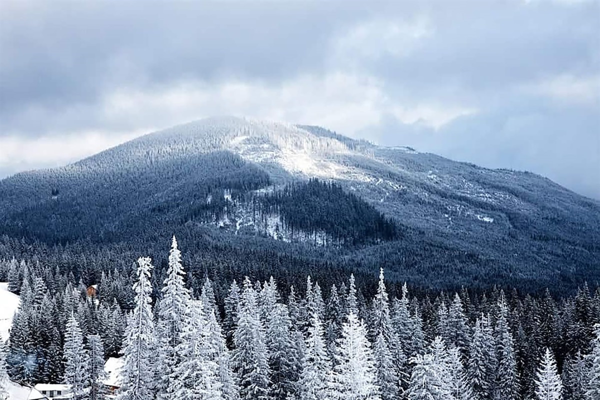 Winter in the Smoky's