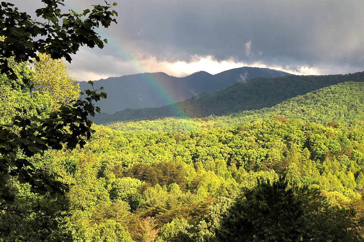 The mountain views change and can be quite spectacular throughout the day!