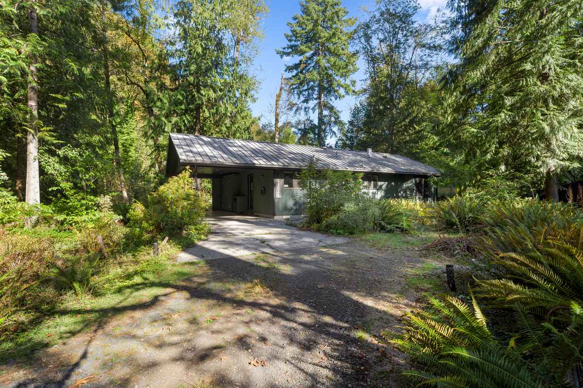 Down a private driveway and wrapped in ferns — Creekside Hideaway lives up to its name.
