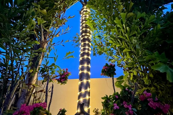 Nighttime vibes poolside.
