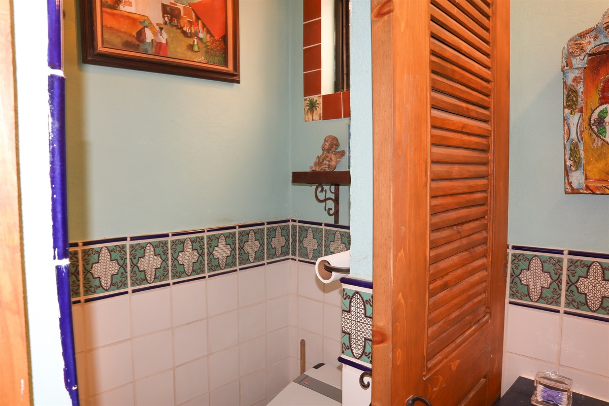 Downstairs Master Bathroom