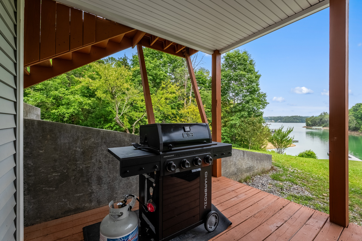 Propane BBQ grill