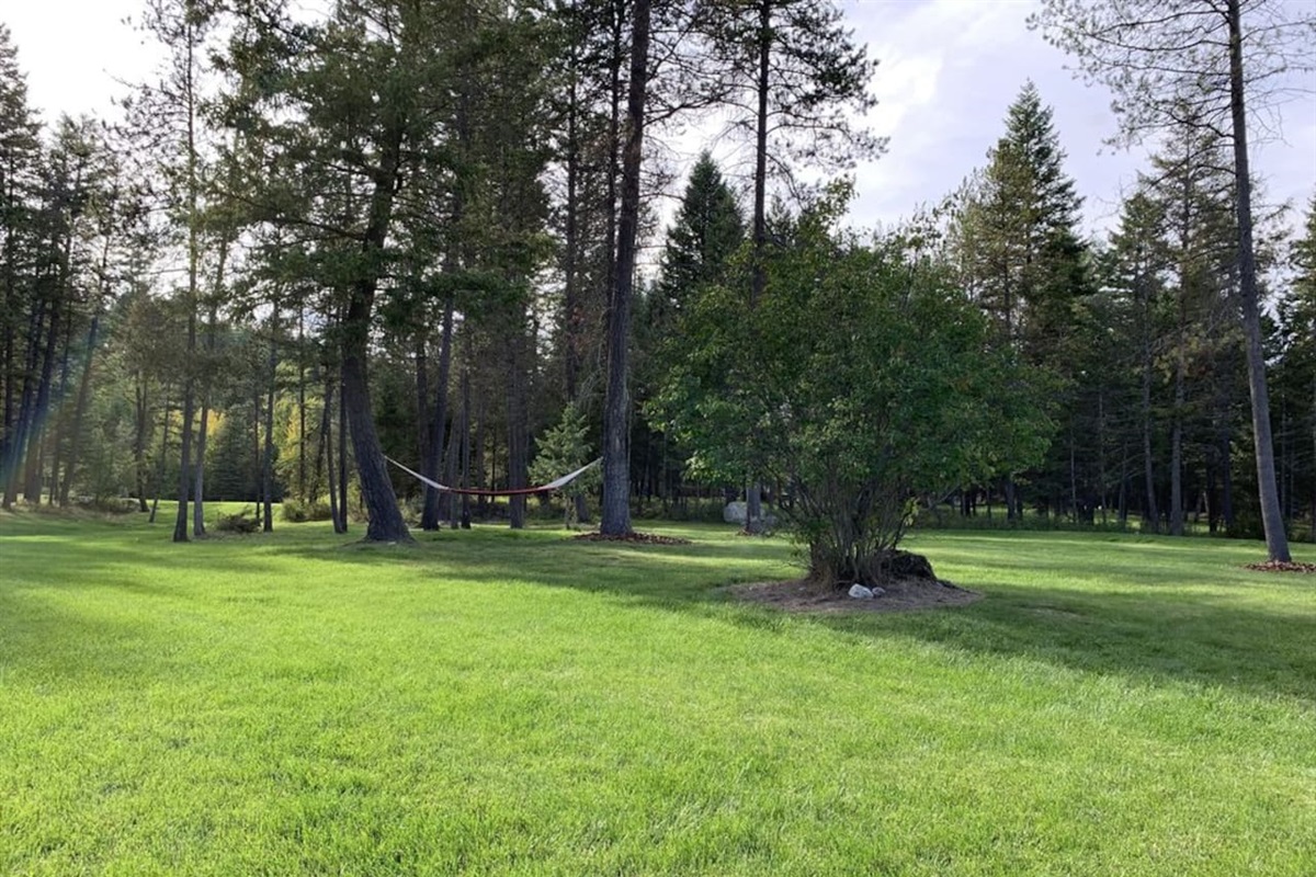 Back lawn with volleyball net