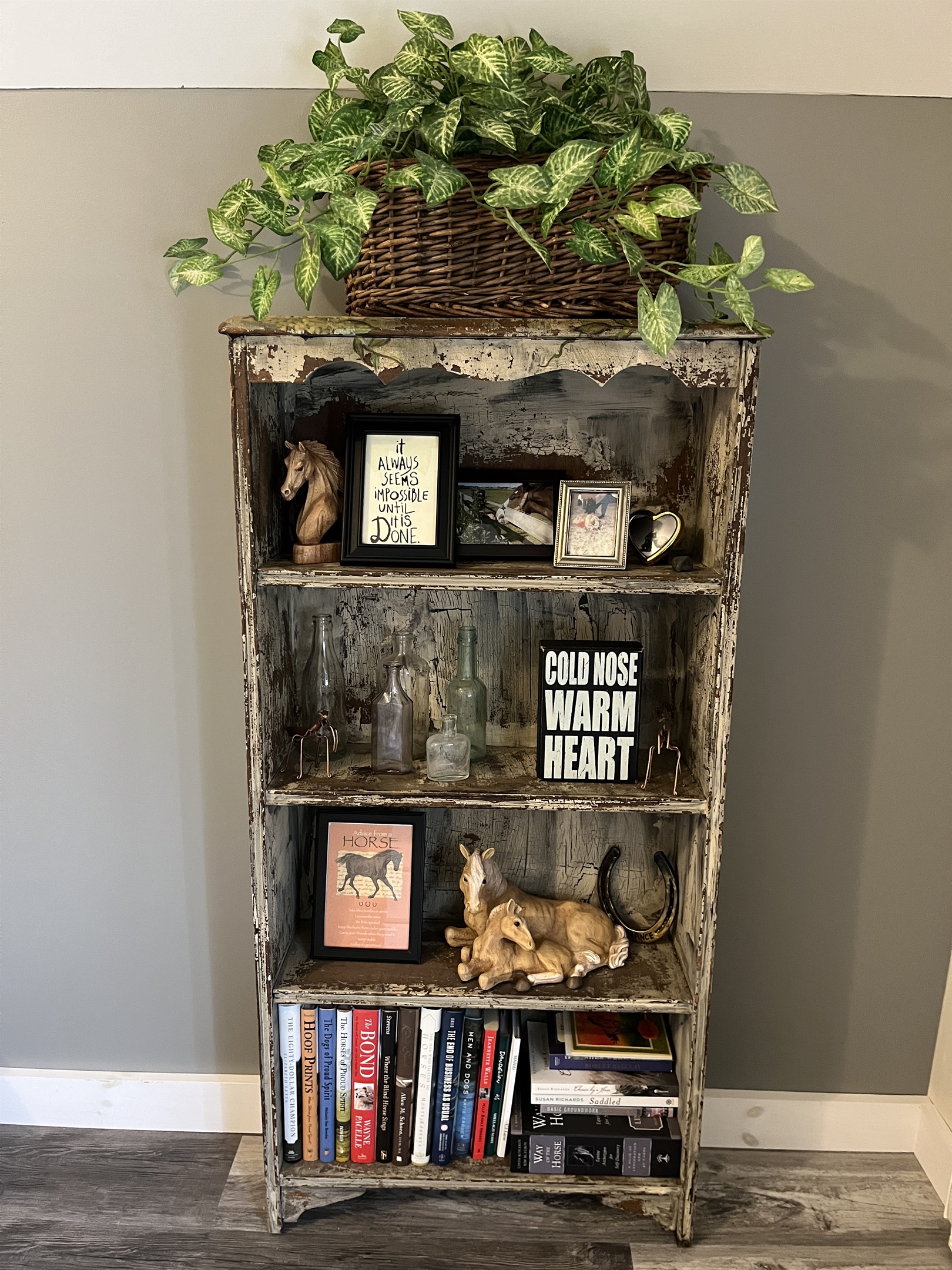 Horse Haven bedroom #2 books to enjoy.