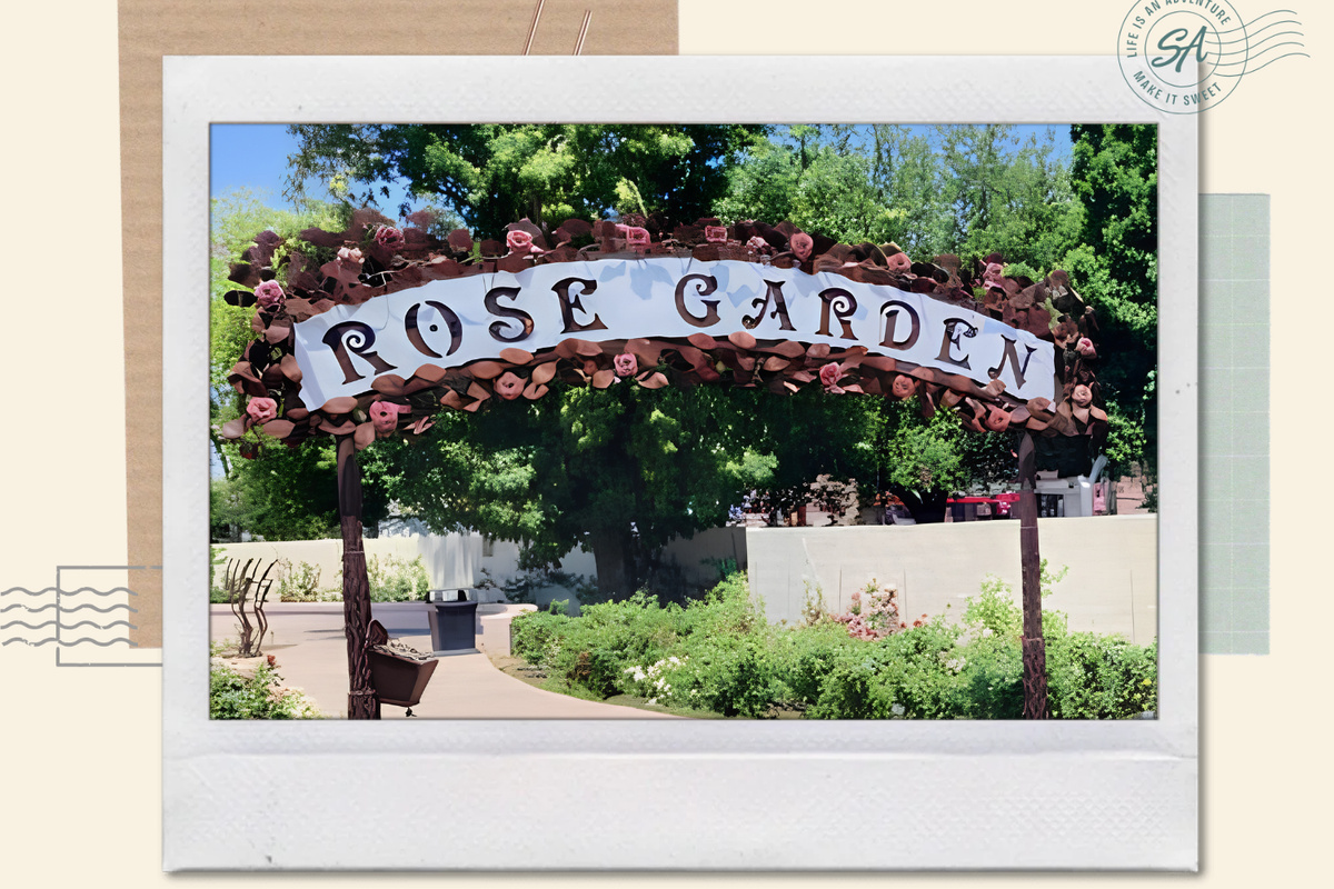 Rose Garden

A peaceful garden filled with thousands of rose
bushes. Bring a coffee and take a slow walk through
the blooms.

The house is just 8 minutes away from the attraction.
