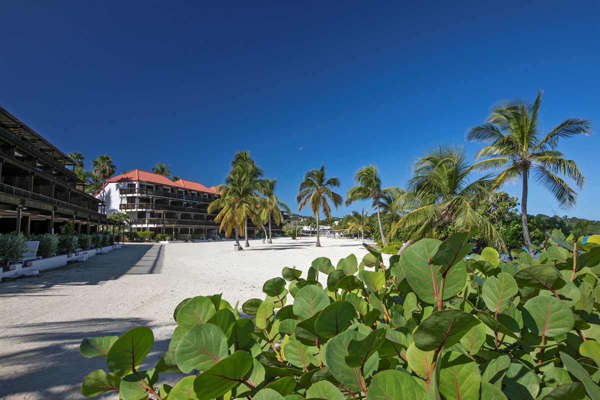 Step outside to powdery white sand and clear blue waters.