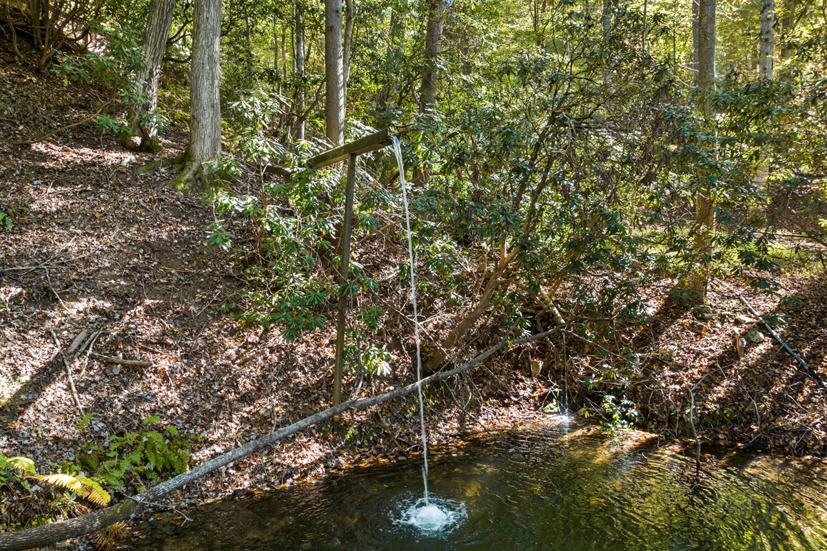 Water Feature at Pond