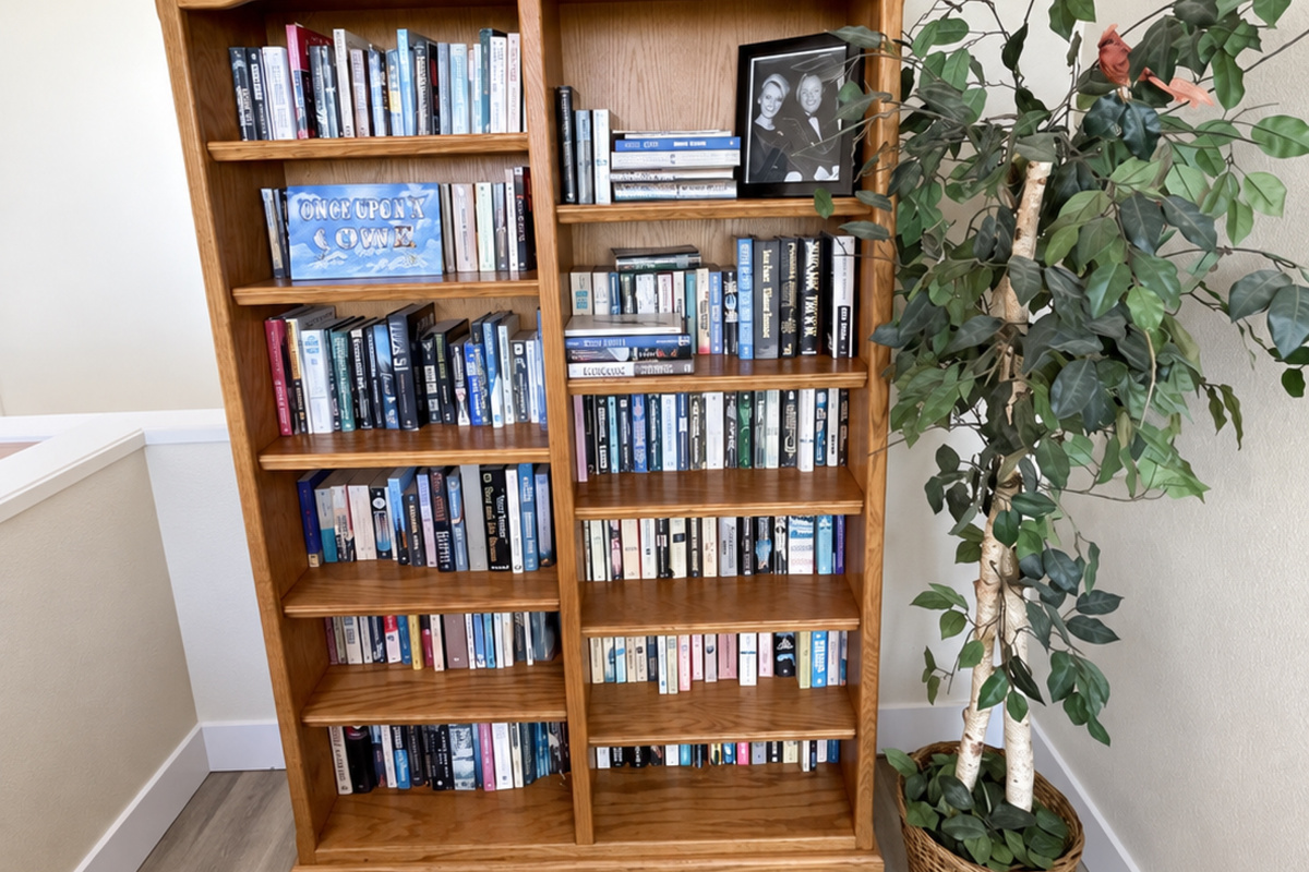 Library of books in living room