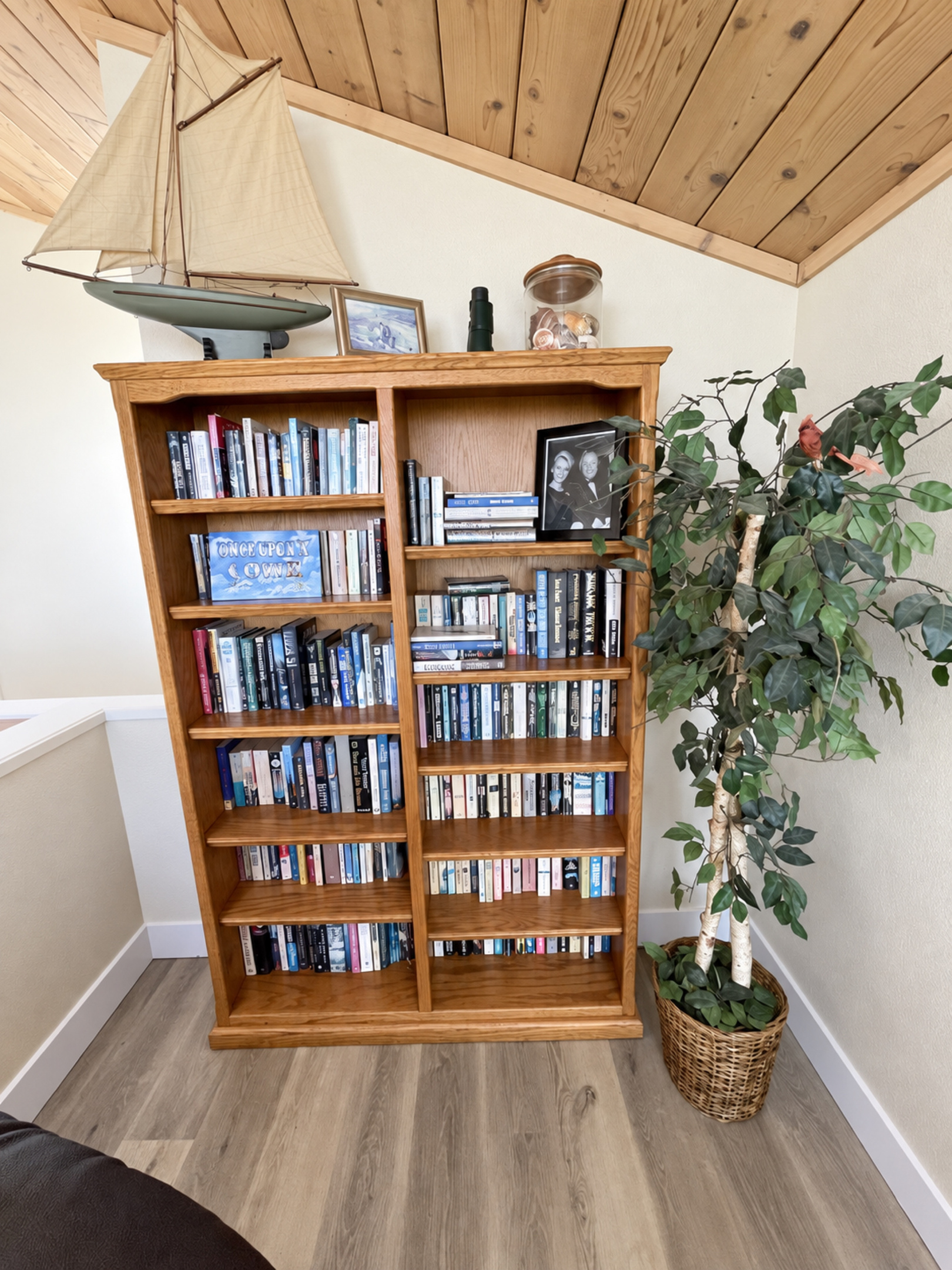 Library of books in living room