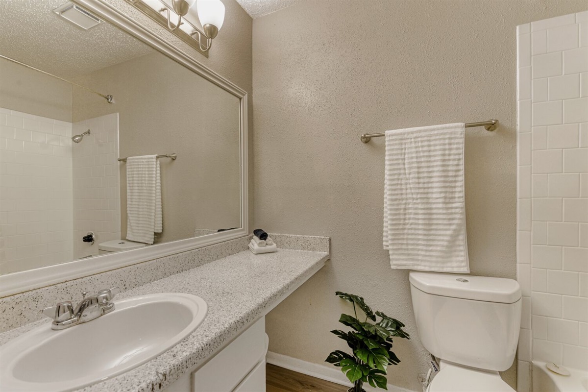 Clean, simple, and refreshingly bright.