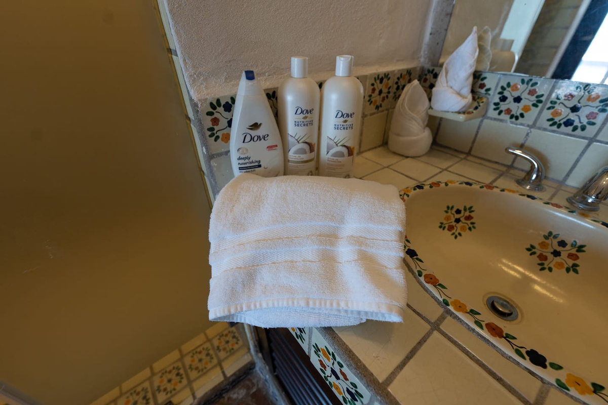 Shampoo, Conditioner, Soap, Towels