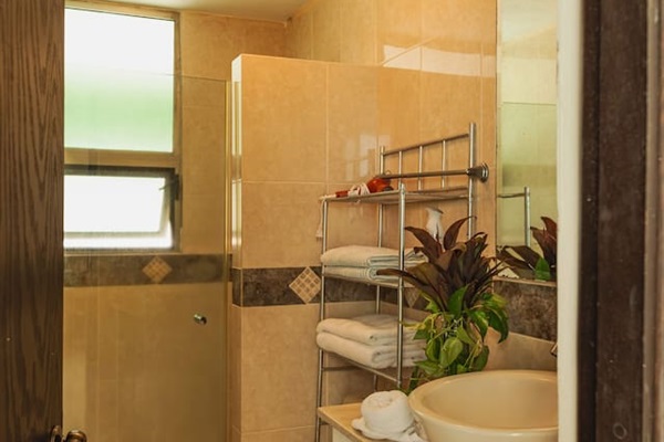 Bathroom - Master suite 