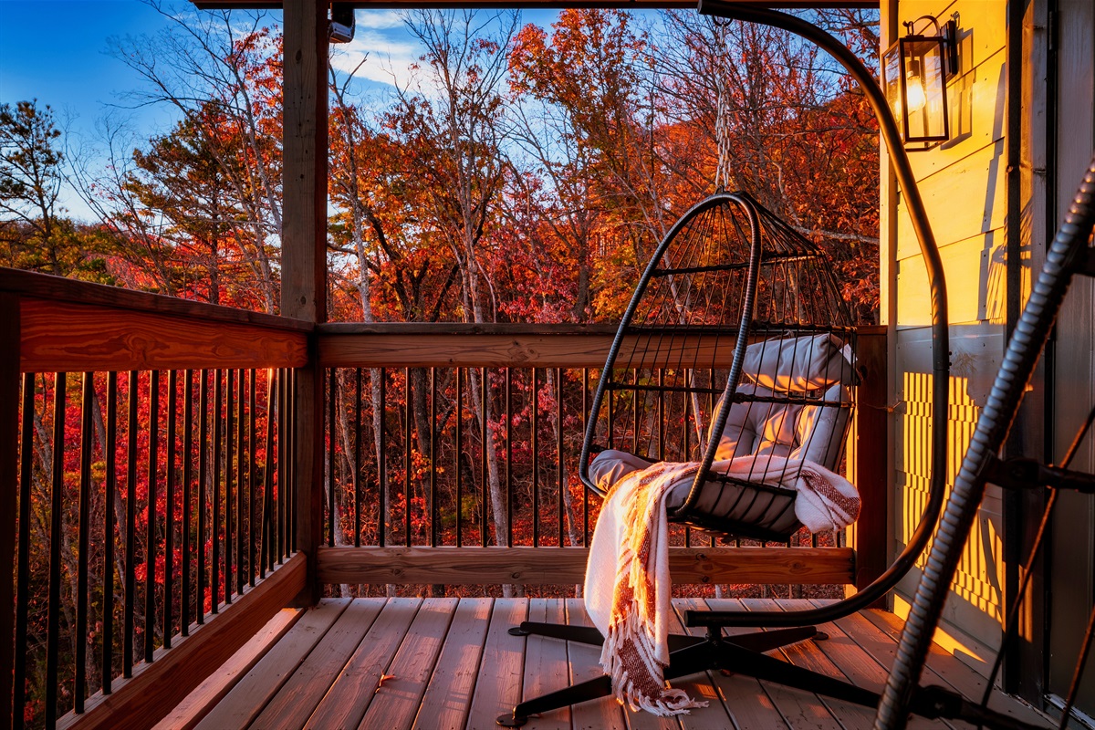 Sit on the swing while enjoying the view