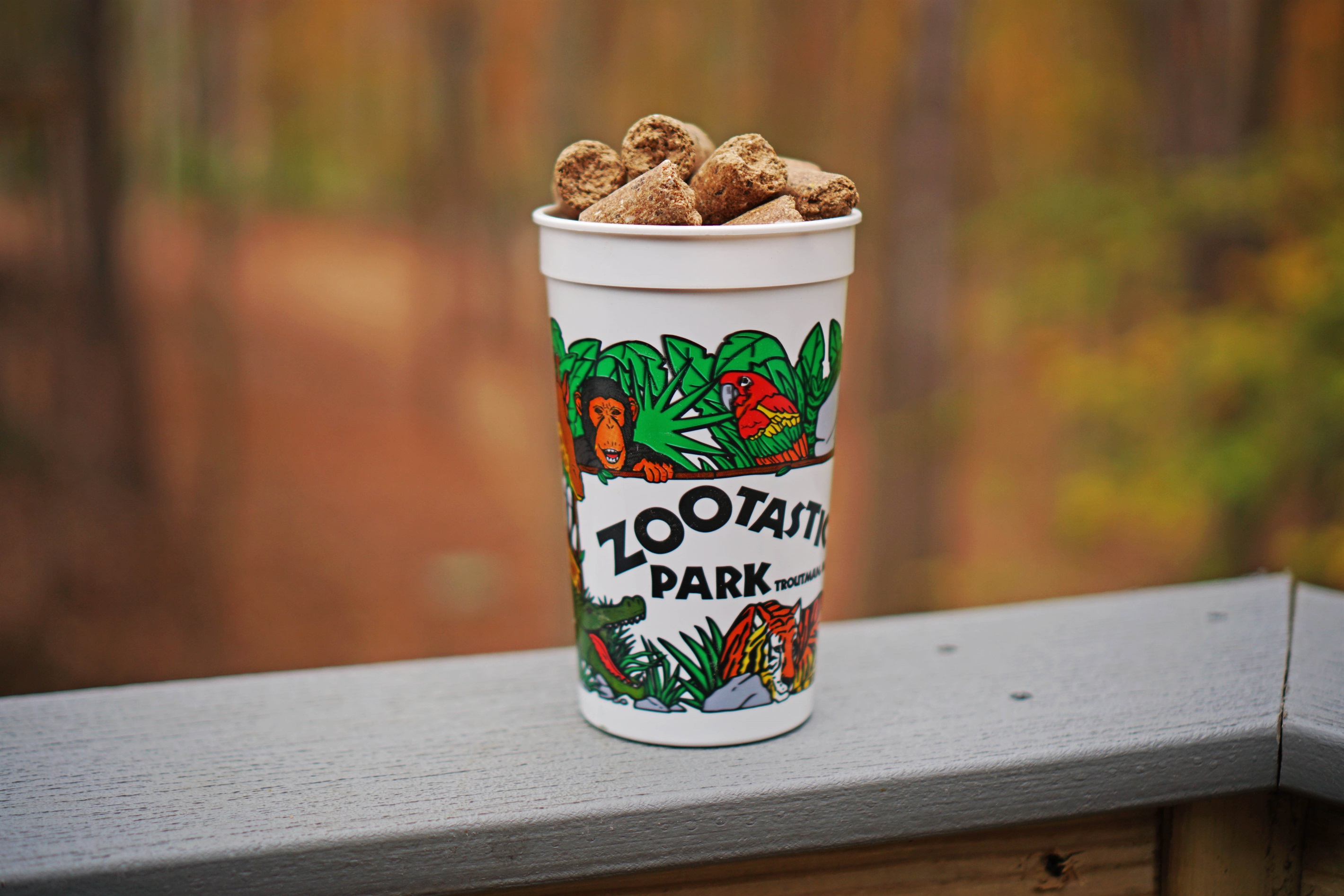 Enjoy FREE animal feed with your stay! unforgettable animal encounters await!