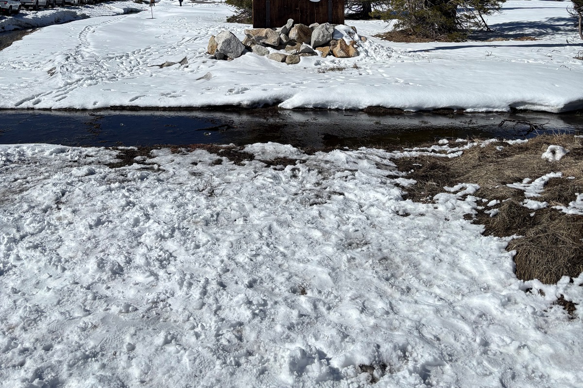  Winter Fun at Bear Valley — Incredible Sierra Slopes
