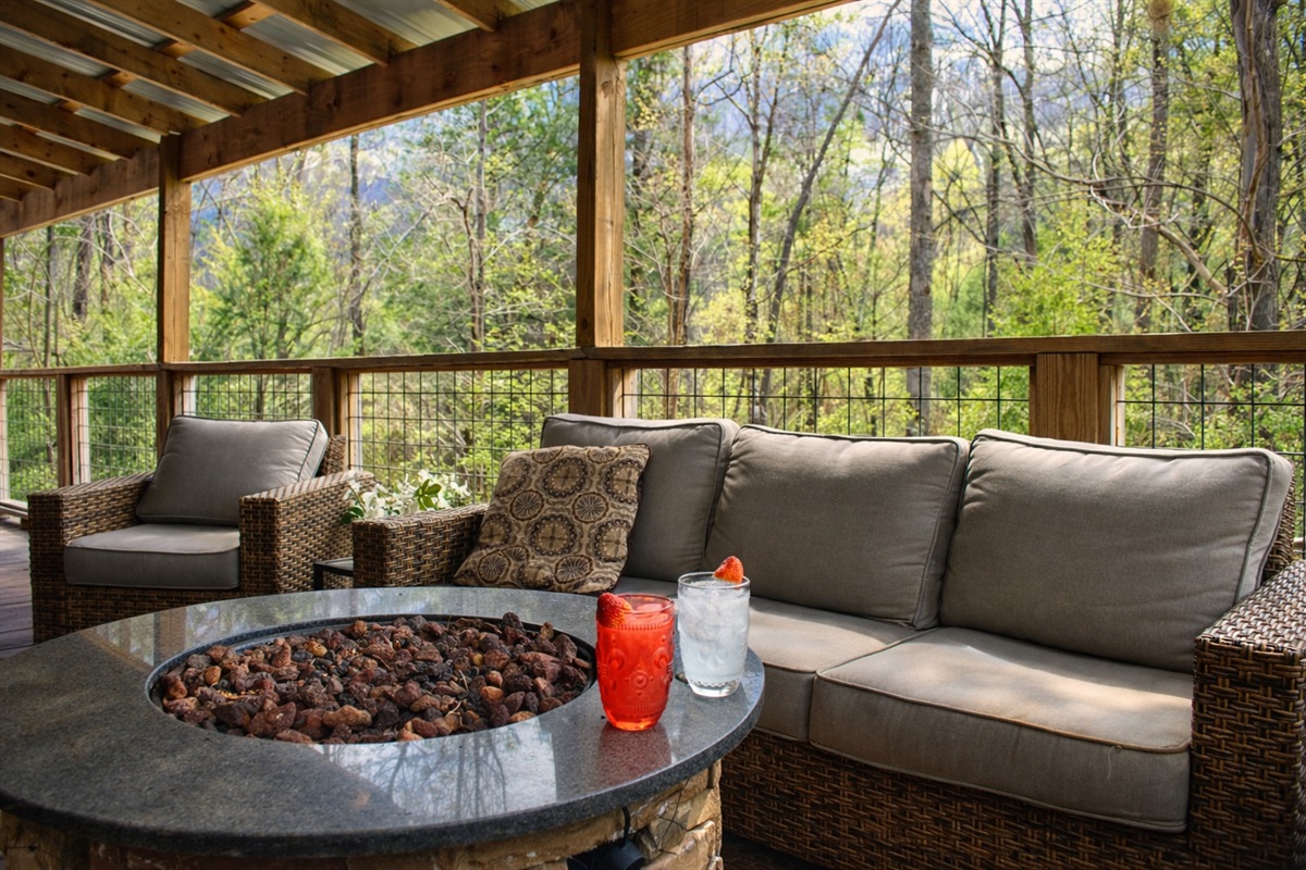 Plenty of seating for your and your company. Also a propane gas firepit.