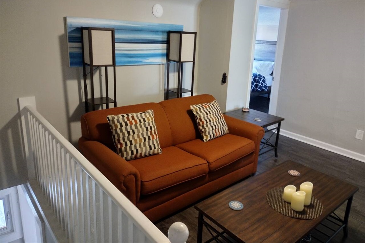 Queen size pull-out couch