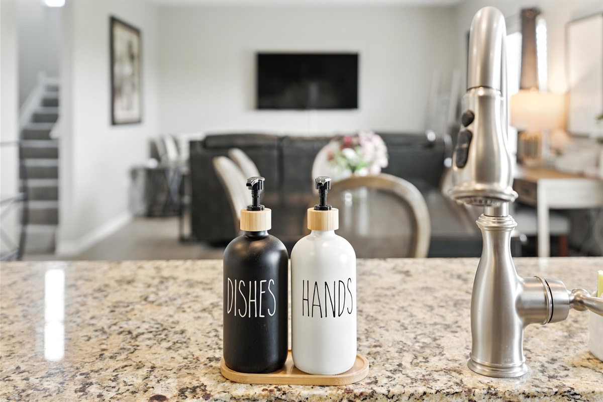 Clean and ready—kitchen sink with dish and hand soap