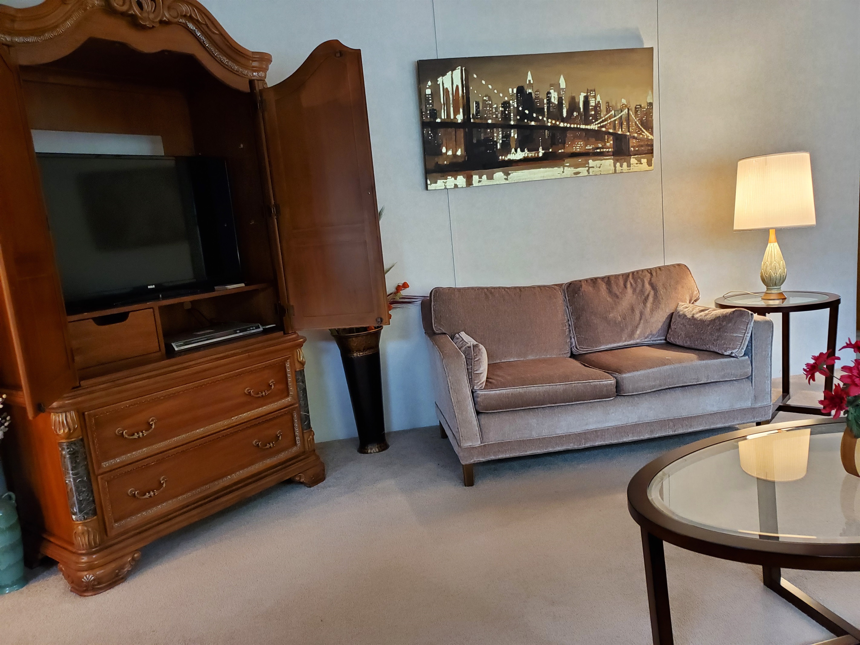 TV area in living room