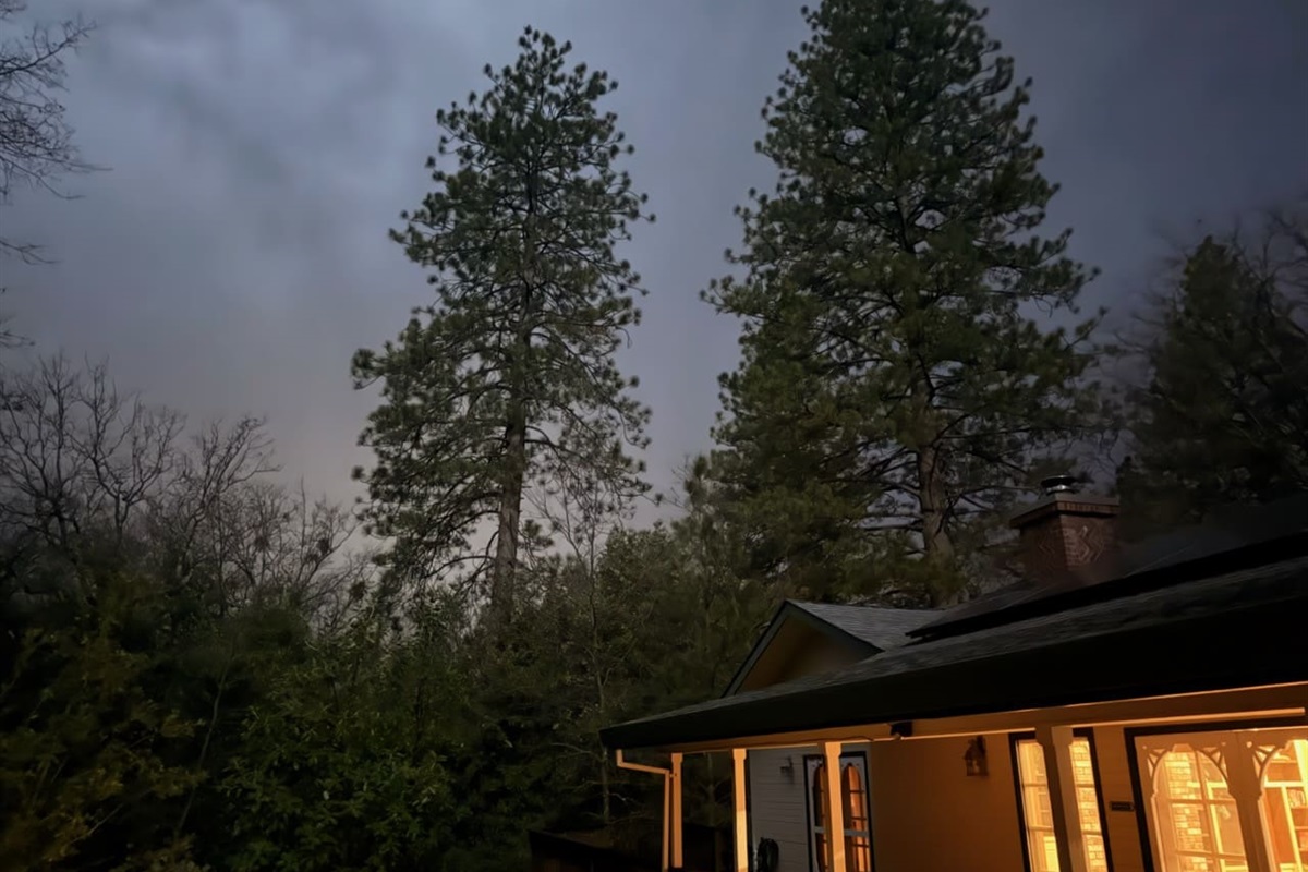 Cabin exterior at night with glowing windows, tall trees, and a peaceful wooded setting.
