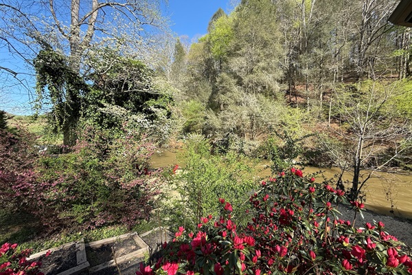 The colors are simply amazing once everything is in bloom!