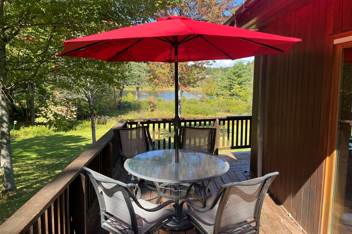 Great view of the pond across the road