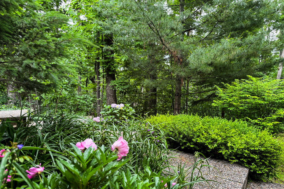 Beautiful Blooming Gardens