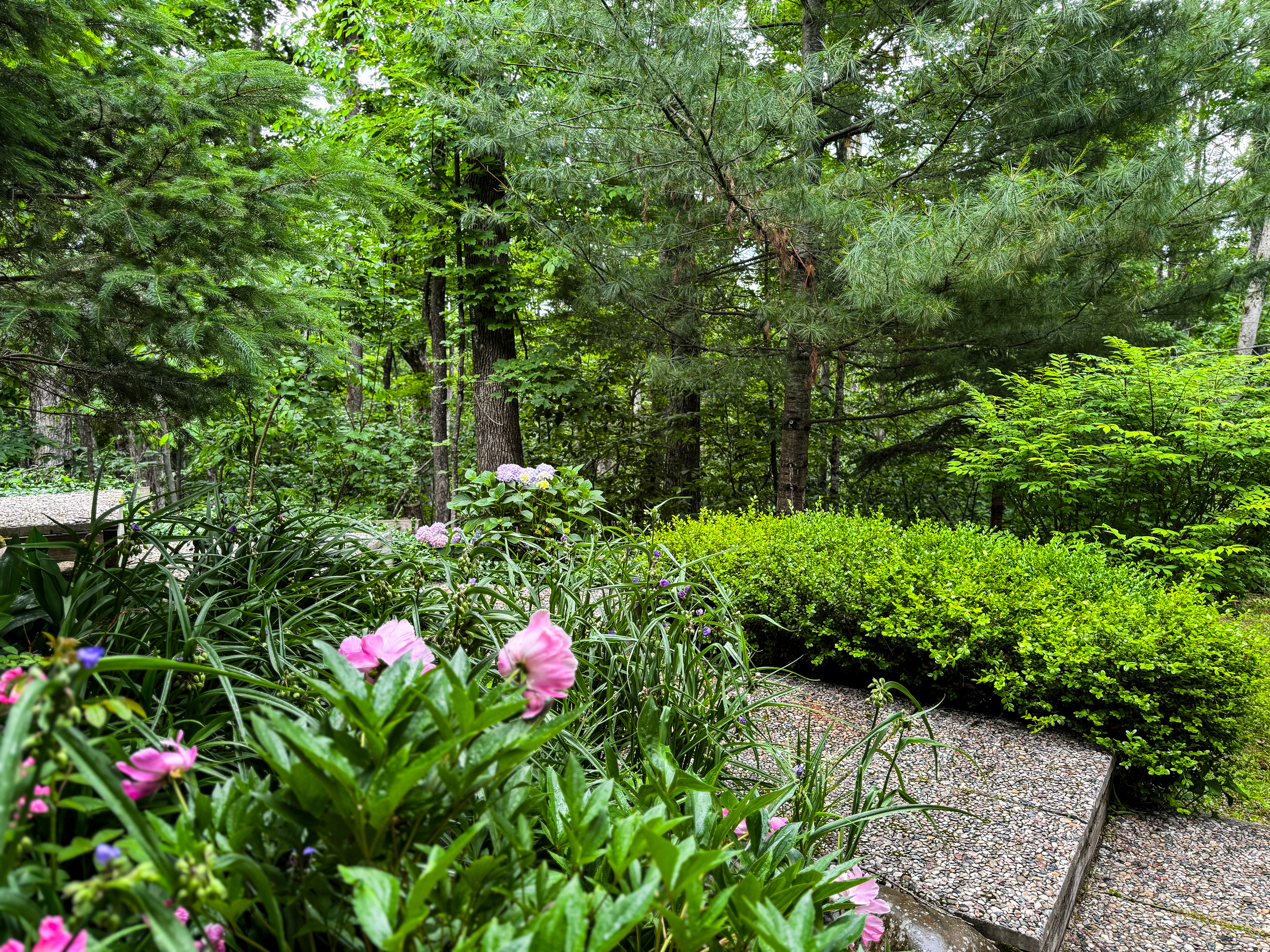 Beautiful Blooming Gardens