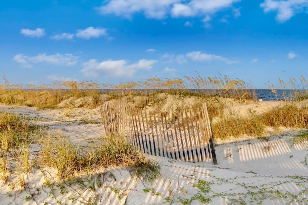 Dunes by the beach