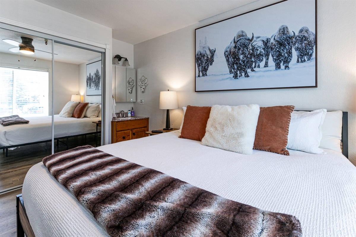 Master Bedroom. Cozy & Clean. Vanity sink and large closet.