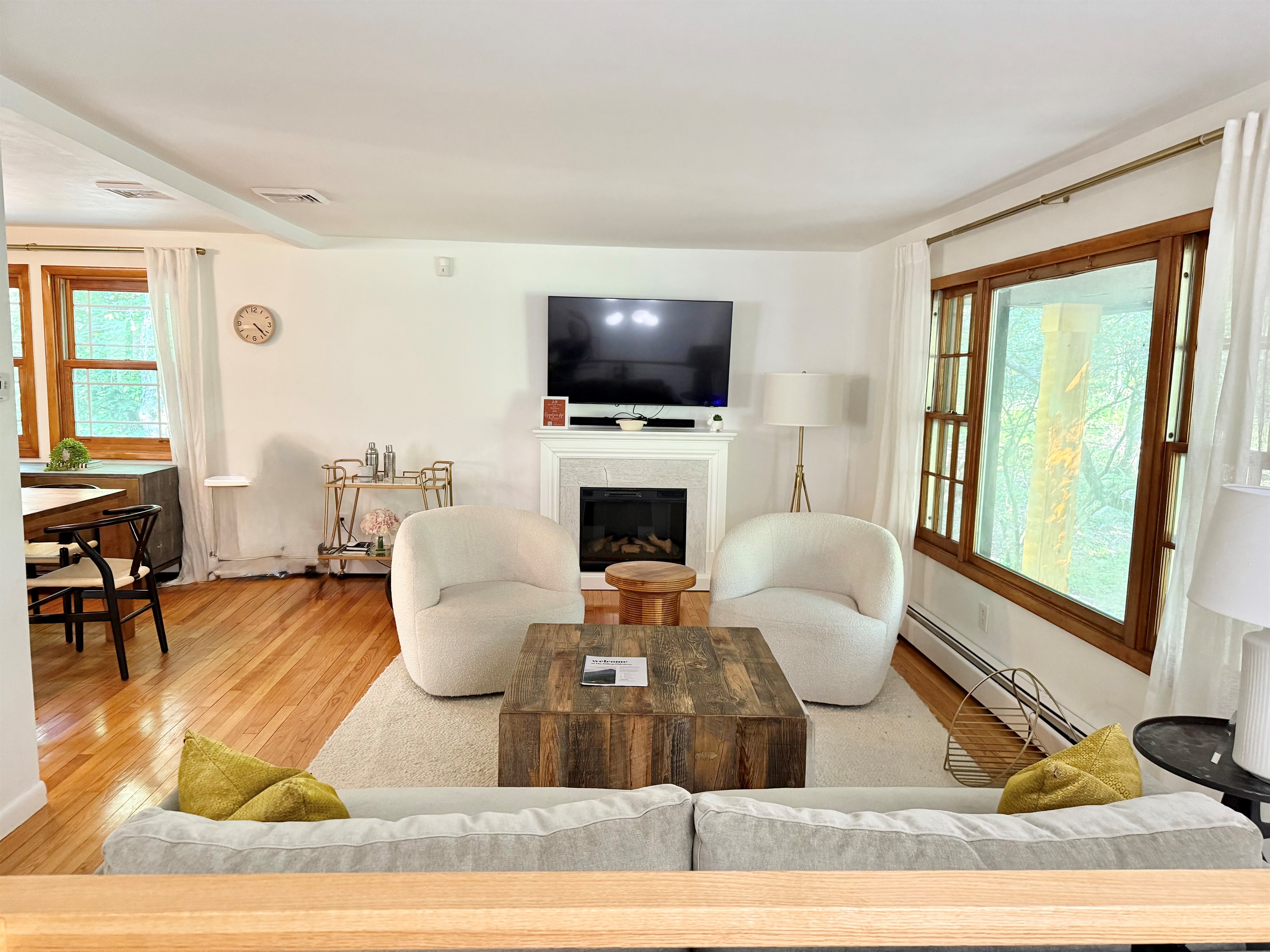 Living room with electric fireplace and TV
