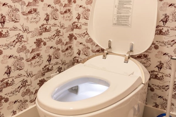 Yes this is a bidet toilet