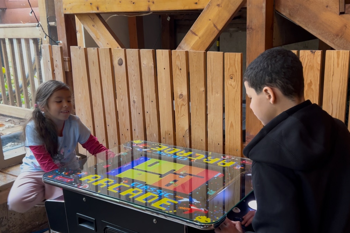 Choose 1 player or 2 player options on hundreds of old classic arcade games. 