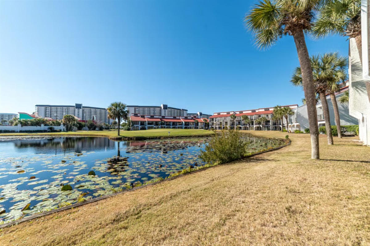 View from our patio--peaceful, golf course view
