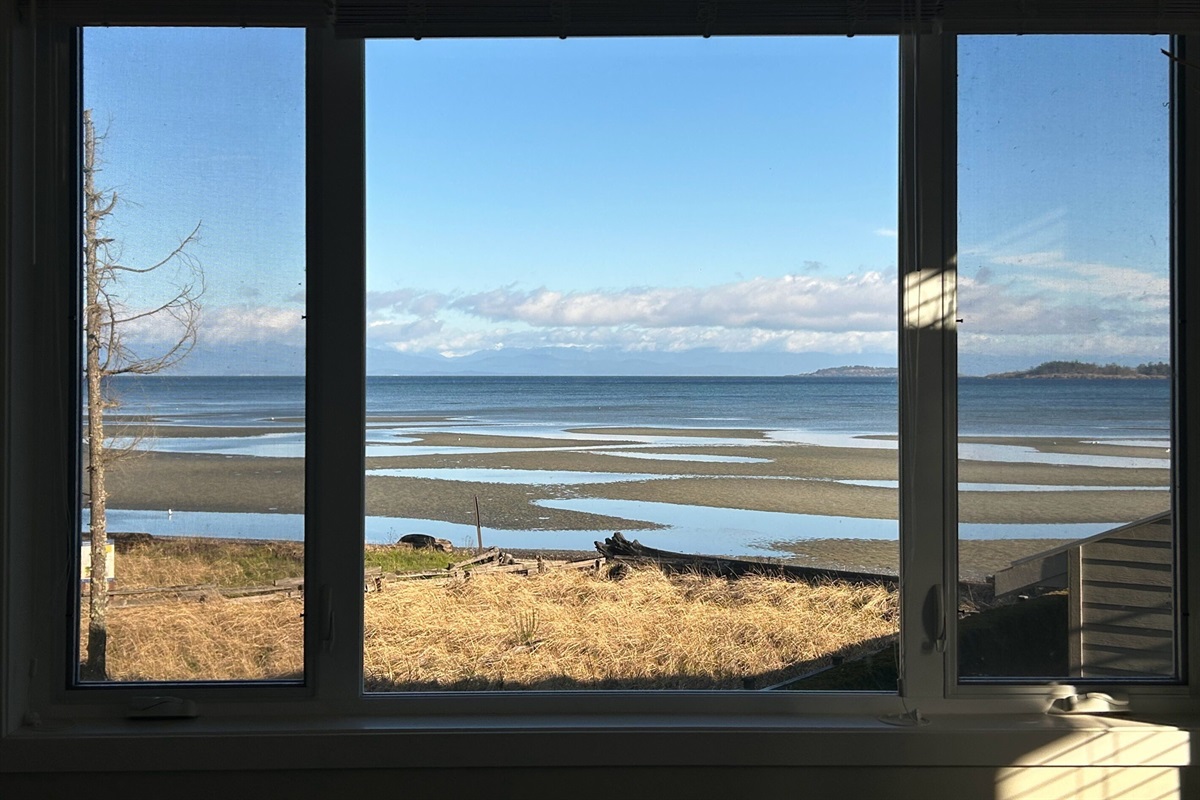 Your front window view!!