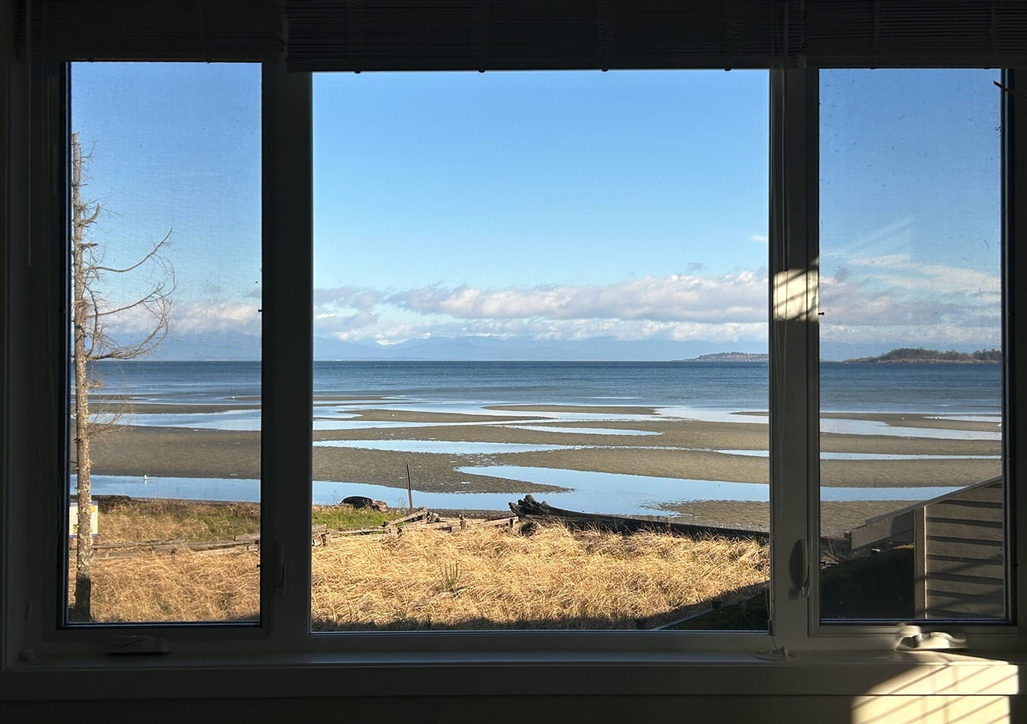 Your front window view!!