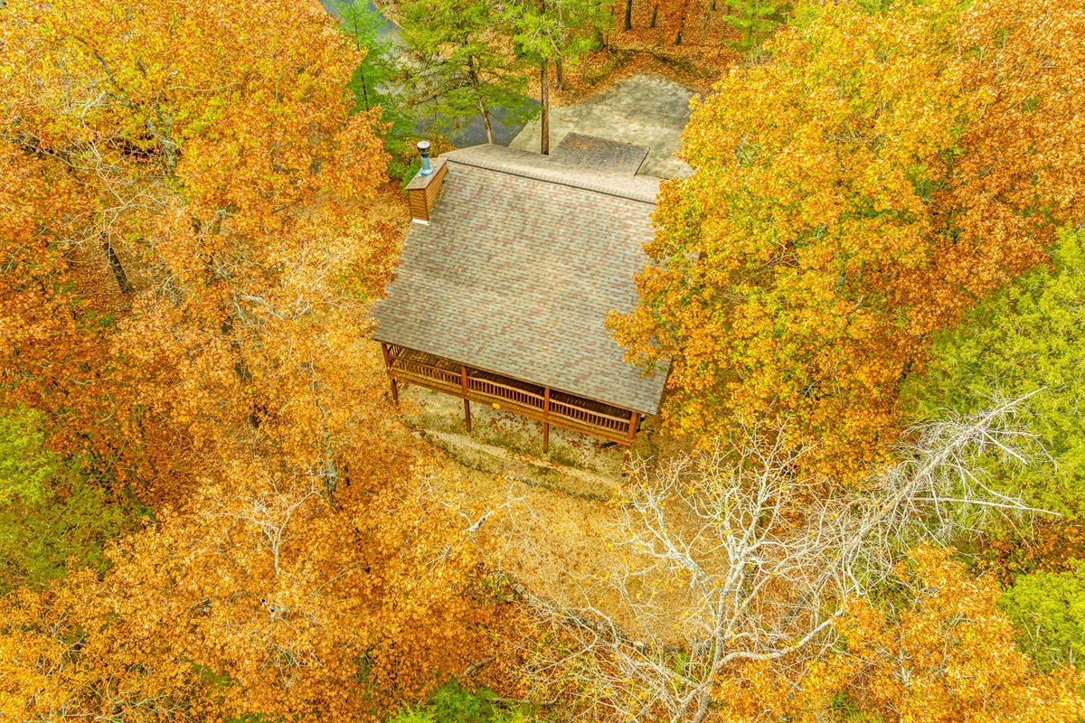 Romantic hideaway nestled in vibrant autumn woods